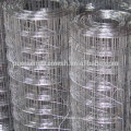 Galvanized square hole welded wire mesh manufacture